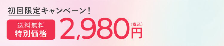 初回限定 2,980円 送料無料